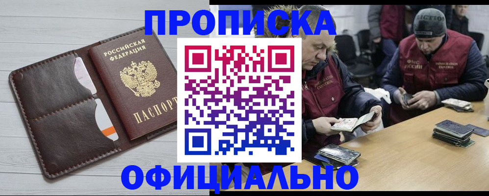 прописка для школы в Камышлове